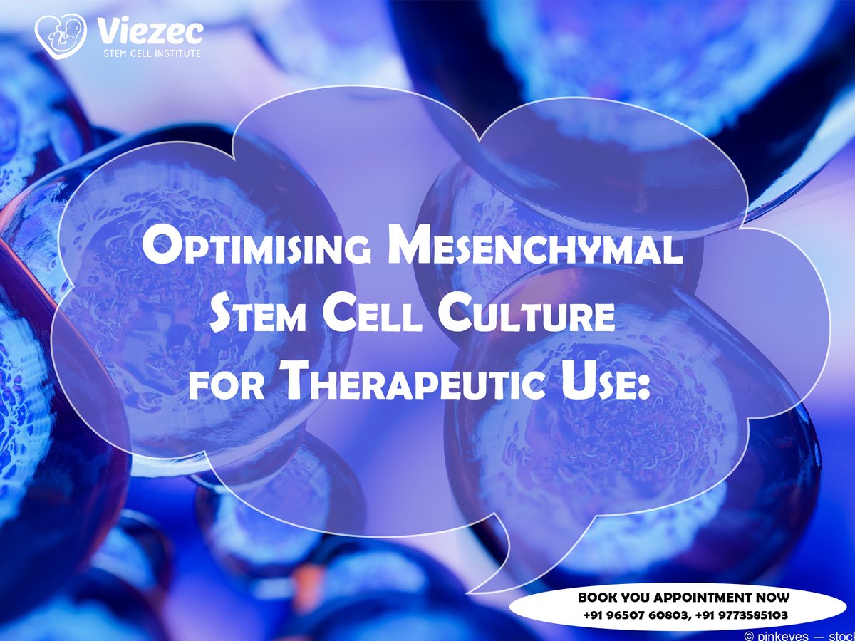 viezec's tweet photo. optimising #mesenchymal stem cell culture for therapeutic use:
To know more about mesenchymal stem cell visit https://t.co/HaAtducjld
#MesenchymalStemCells #mesenchymalstemcelltherapy #stemcelltherapyformesenchymal #stemcellsafe https://t.co/nvnPAEuwXm