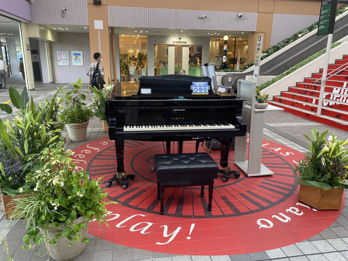 ミチコ ピアノ弾きと歌い 無事ミチコ先生終了しました ご参加頂いた方々ありがとうございました すごい刺激と 話しまくりの1時間 逆にめちゃくちゃ勉強になりました 考えている楽譜ありきとの構造がまるでちがってーー詳しくはインスタに書き ミチコ ピアノ弾きと歌い 無事ミチコ先生終了しました ご参加頂いた方々ありがとうございました すごい刺激と 話しまくりの1時間 逆にめちゃくちゃ勉強になりました 考えている楽譜ありきとの構造がまるでちがってーー詳しくはインスタに書き