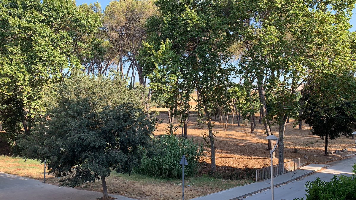 4drivers2's tweet image. Buenos días!!!🤗🤗