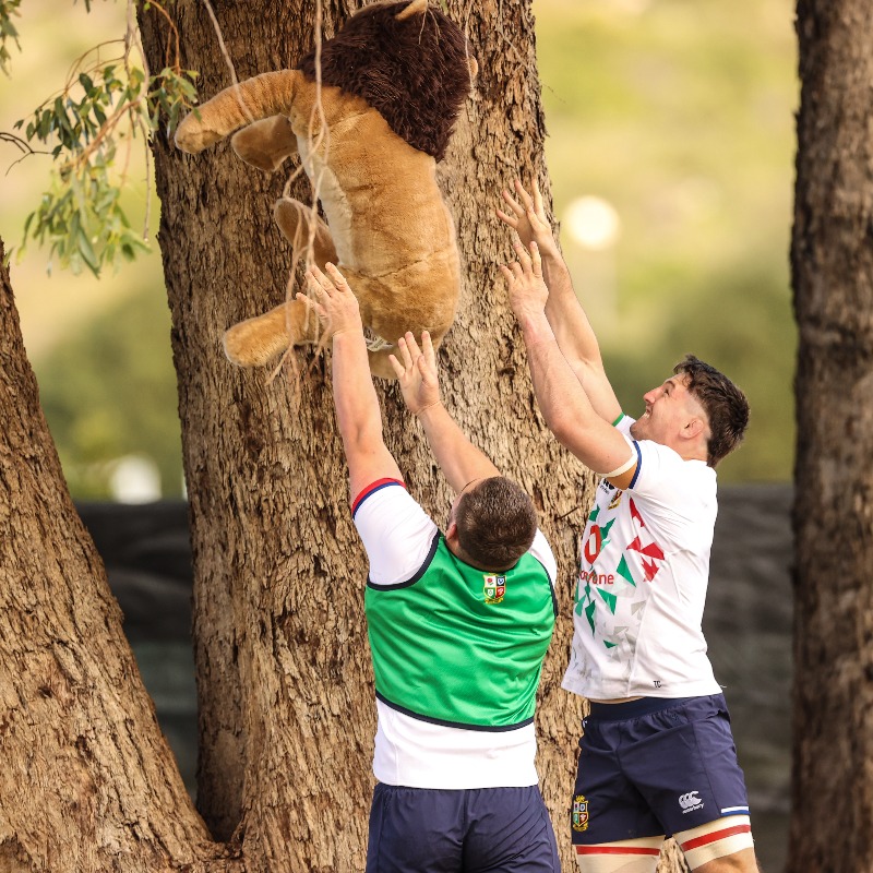 lionsofficial's tweet image. The adventures of BIL 🦁 on Tour 👌

#LionsRugby #CastleLionsSeries #BoksvLions