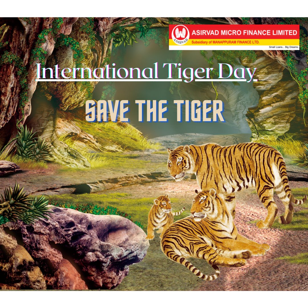 International Tiger Day

#InternationalTigerDay2021 #asirvadmicrofinanceltd #asirvad #savetigers
