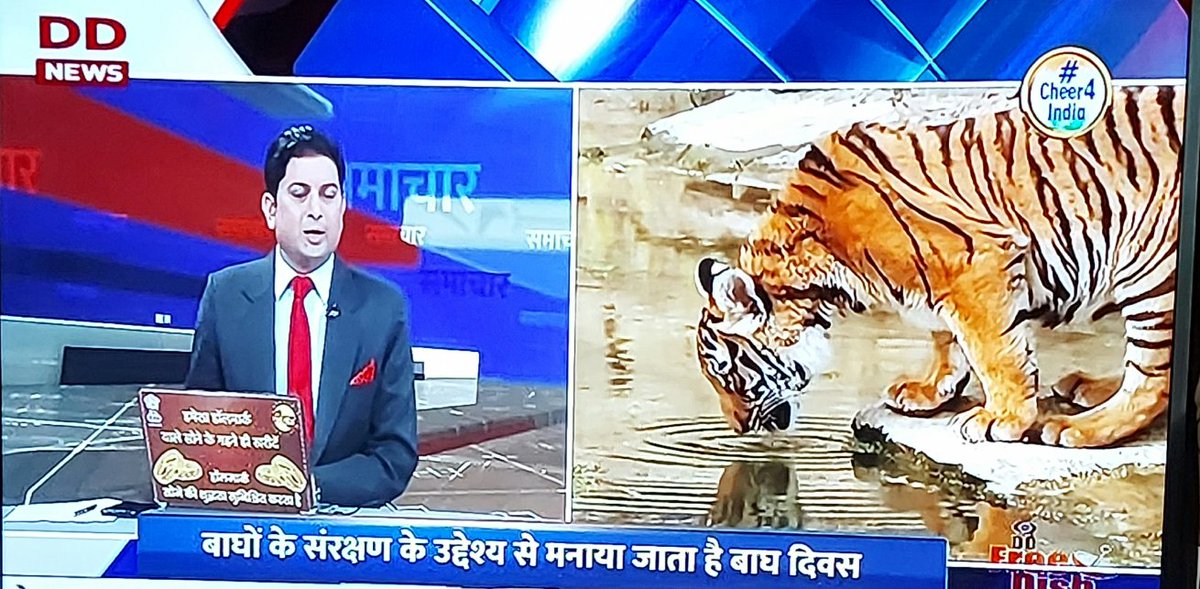 Let us save our beautiful birds and animals with more and more forest coverage thru' massive plantation of climate conducive trees and fruit bearing trees for a equitable ecosystem for all.
#SaveTigers 
#RoyalIndianTigers
#ProjectTiger
#SavetheBluePlanet