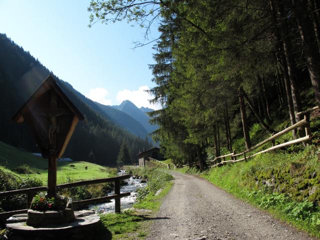 gianolinibike's tweet photo. In #MTB nella Riserva Naturale di Sant'Antonio (#Brescia) alla scoperta di Malga Casazza, dove nella casera potete assaggiare degli ottimi formaggi. Si continua per Malga Culvegla pedalando su ottime carrarecce fra magnifici paesaggi. Maggiori dettagli su: https://t.co/lPw5g2Cwic https://t.co/lOvkfm0cEF
