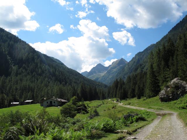 gianolinibike's tweet photo. In #MTB nella Riserva Naturale di Sant'Antonio (#Brescia) alla scoperta di Malga Casazza, dove nella casera potete assaggiare degli ottimi formaggi. Si continua per Malga Culvegla pedalando su ottime carrarecce fra magnifici paesaggi. Maggiori dettagli su: https://t.co/lPw5g2Cwic https://t.co/lOvkfm0cEF