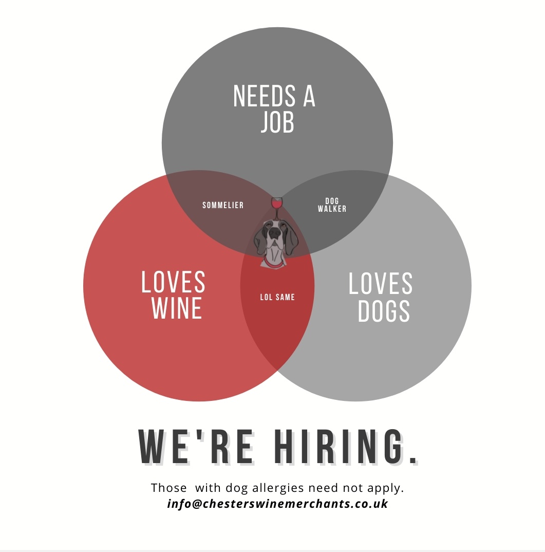 chesterswine's tweet image. We&apos;re hiring!🍷🍷

After 4 long years, Lloyd &amp;amp; Ben have finally run out of things to talk about... So it&apos;s time for some new recruits! 👀

If you&apos;d love nothing more than to work in the wine trade &amp;amp; think you could put up with two guys and a dog, we want to hear from you!