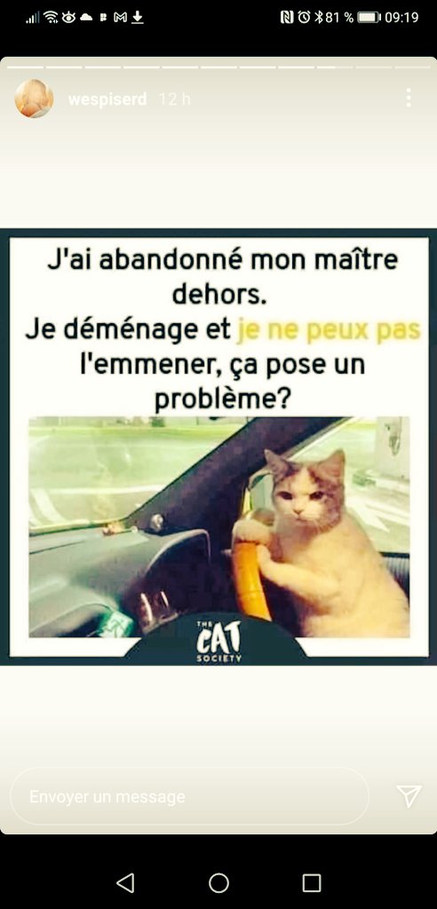 NicosBossisFCN's tweet photo. Quand les rôles sont inversés... 😜😂 #StopAbandon #CatsOfTwitter #Cats #HumourAbsurde https://t.co/4Sh4WqU3fr