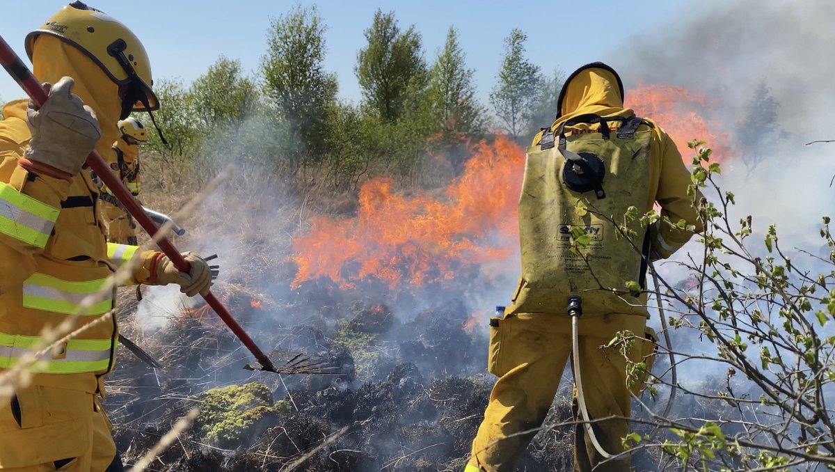 Samen met de vijf zuidelijke veiligheidsregio’s richten we een tweede #handcrew op om mogelijke #natuurbranden snel &amp; effectief te bestrijden. Hierdoor zijn we in NL voorbereid op meerdere gelijktijdige natuurbranden! bit.ly/3rE4bE6