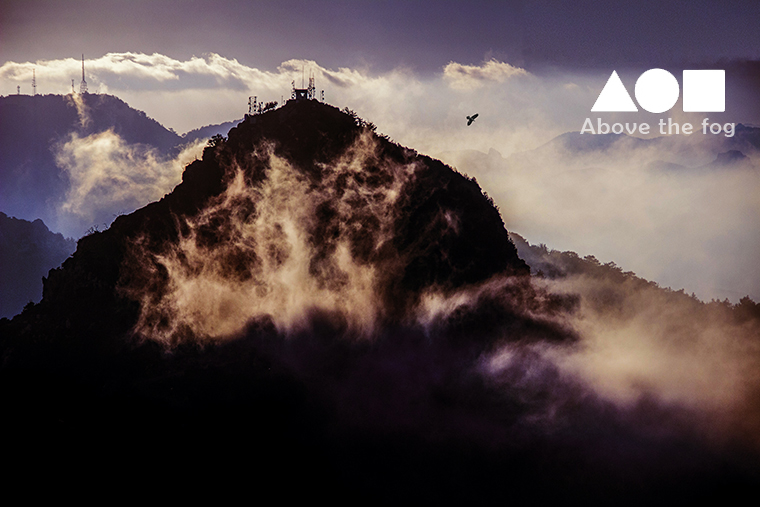 © REZA 📸 tweet media