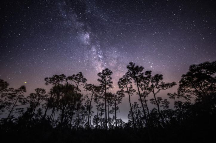 Dark Skies is becoming a hot topic within the lighting industry, check out this blog for some interesting facts hillarys.co.uk/skyglow/