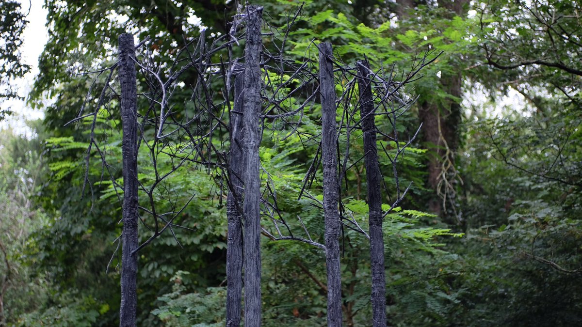 Le Département de <a href="/loireatlantique/">Loire-Atlantique</a> et le <a href="/levoyageanantes/">levoyageanantes (compte inactif)</a> ont invité Eva Jospin à poser son regard sur le Domaine de la #GarenneLemot.
Découvrez le Bois de la Gorgonne lors de votre prochaine balade dans le parc ! 

🔹Accès libre et gratuit 
🔎 bit.ly/3ybN7Yp