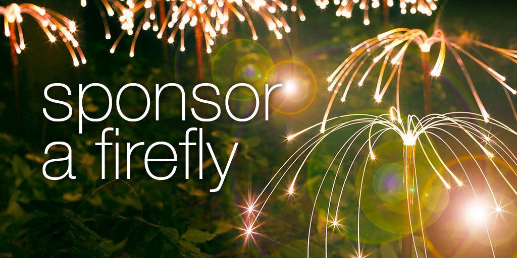 DorothyHouseHC's tweet photo. This summer, sponsor a Firefly at Winsley. Lovingly crafted by award winning artist Bruce Munro, discover an extraordinary and unique way to celebrate someone you love  https://t.co/AT4yZ8s0FE

#firefly #brucemonro #art #lights #celebrate #light #life #beautiful #lightart #appeal https://t.co/Eki8bGKl17
