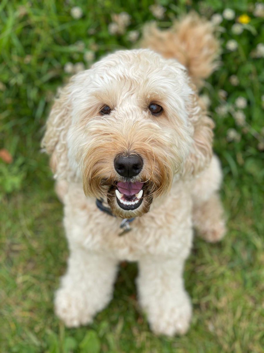 David Claridge tweet media