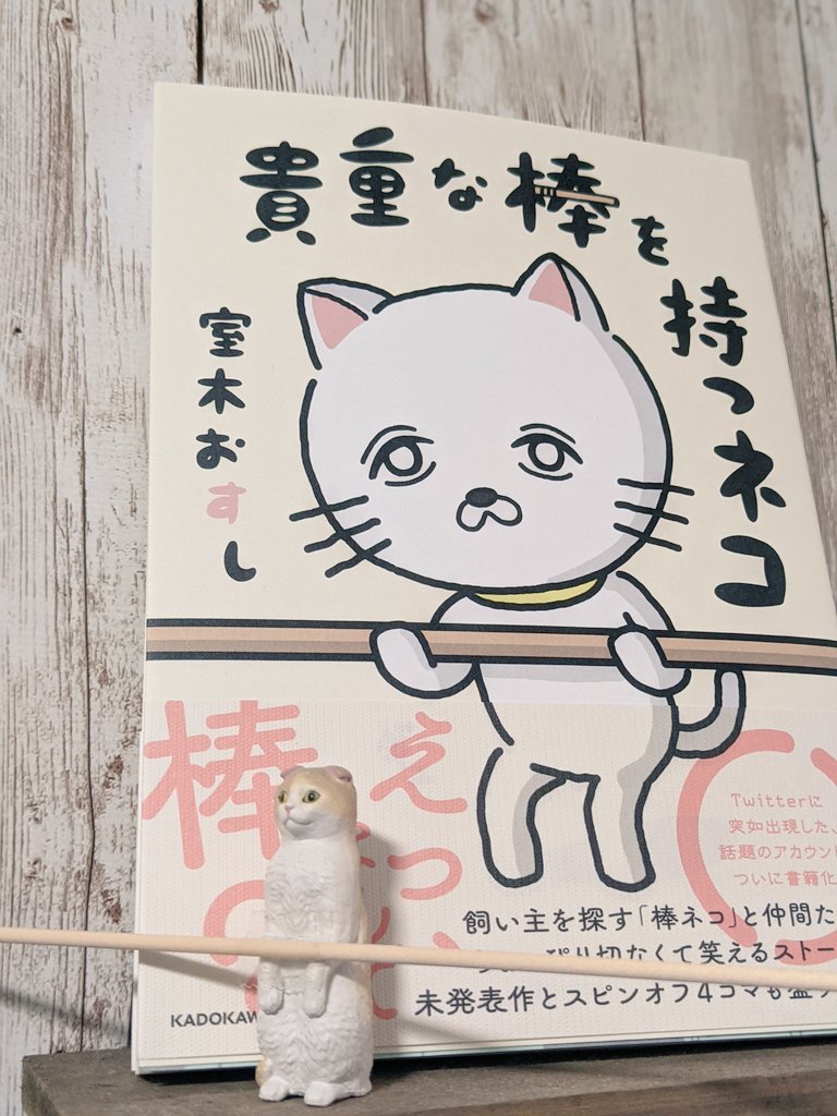室木おすしさんのサイン入り棒ネコ本を手に入れました
かわい〜! 