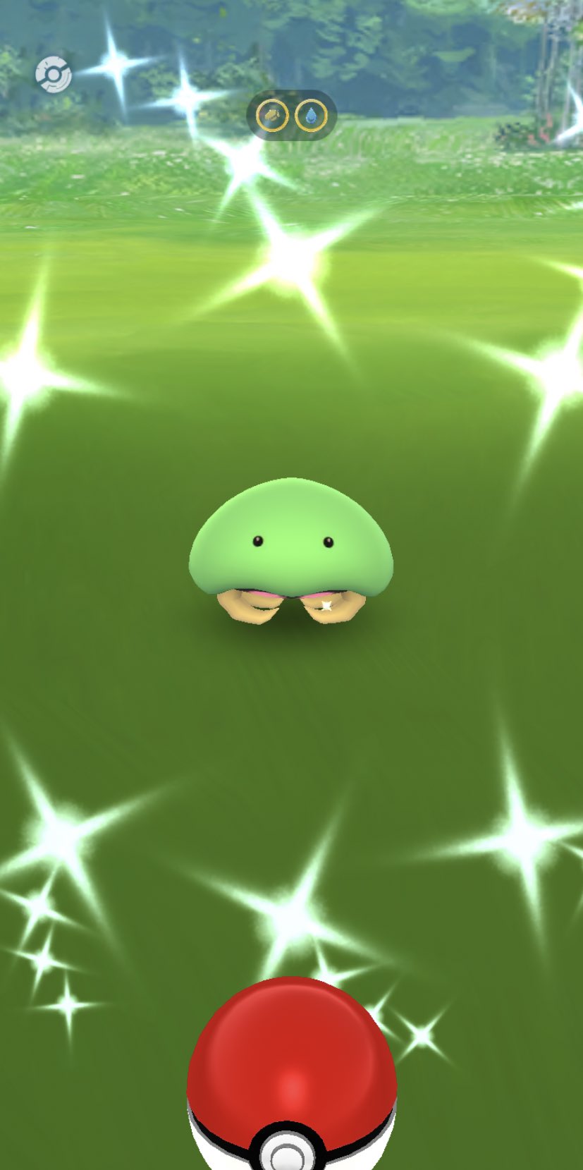 ポケモン カブトプス Www Gapper Pe