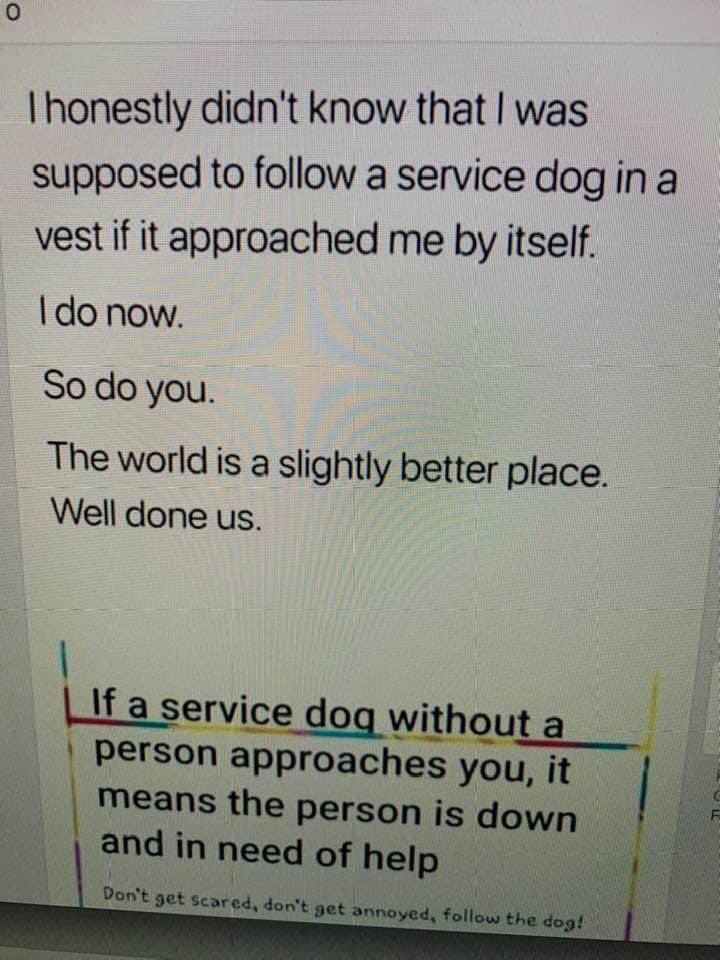 #servicedog #sightimpaired #DisabilityTwitter #SEND #parents #carers #SENDArmy <a href="/RNIB/">RNIB</a> <a href="/RNIB_campaigns/">RNIB Campaigns</a> <a href="/guidedogs/">Guide Dogs</a>