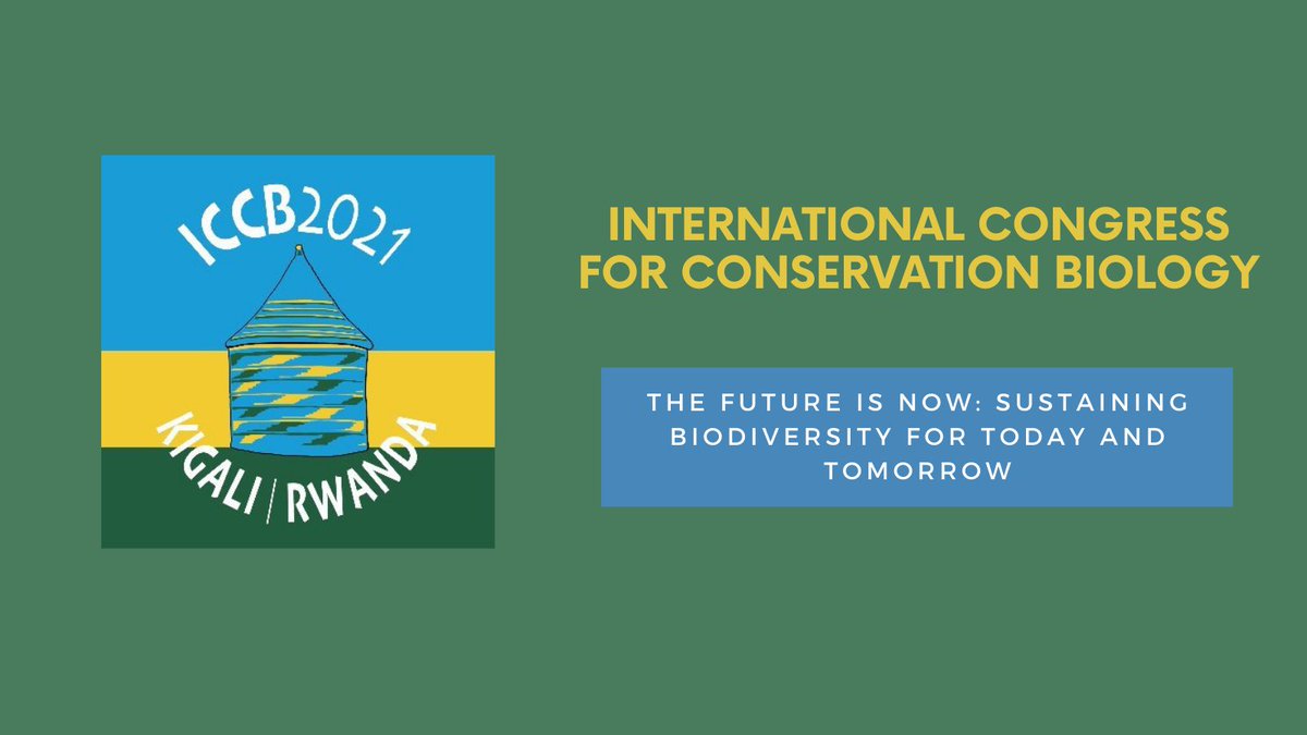 #ICCB2021 is going virtual as SCB commits to Rwanda for 2023.
Due to the Covid-19 pandemic and per SCB's event contingency planning guidelines, the 30th International Congress for Conservation Biology will pivot to a virtual event.
bit.ly/3j4N76x