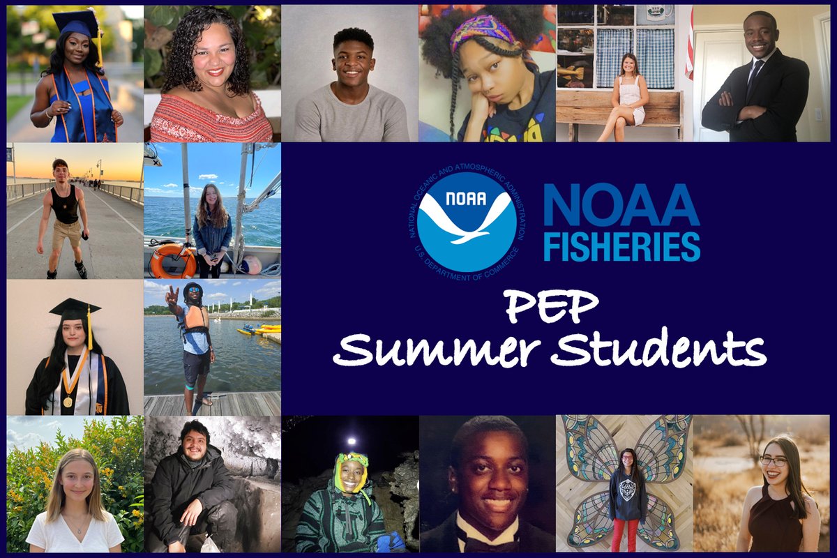 NOAAFish_NEFSC (@noaafish_nefsc) on Twitter photo Happy #NationalInternDay!!! We hosted more than 50 students this year! Most are undergrads. Let’s meet them & see what they’ve been up to:
• #PEPInternship: bit.ly/3xarxlV
• #INFISHInternship: bit.ly/3BQm7A6
• <a href="/NOAAeducation/">NOAA Education</a> : bit.ly/3j6BMTw Happy #NationalInternDay!!! We hosted more than 50 students this year! Most are undergrads. Let’s meet them & see what they’ve been up to:
• #PEPInternship: bit.ly/3xarxlV
• #INFISHInternship: bit.ly/3BQm7A6
• <a href="/NOAAeducation/">NOAA Education</a> : bit.ly/3j6BMTw