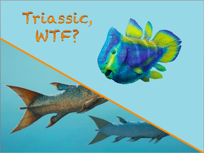 Adasaur1's tweet photo. #TriassicWeek gang!
Now that I'm out of videos, which #Triassic animal would YOU like to see me cover next on #TriassicWTF? I have a few in various stages of development right now, but I'm open to suggestions to help me discover more - the more obscure and weird the better! https://t.co/yQrHejC6ZW