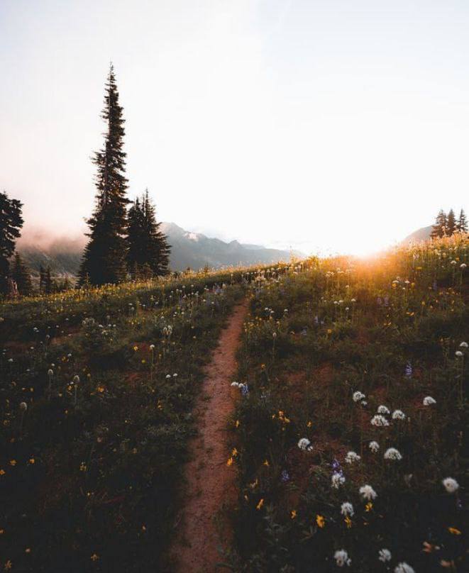 "أرح قلبك بالتقبّل، وارخِ يديك بالإفلات، ودع كل ما حولك يأخذ مجراه المُقدّر له، فأحياناً لا طاقة لك إلا بالتسليم، ولا علم لك سوى إدراك أن لكل شيء حكمة"🌹
#الدانة