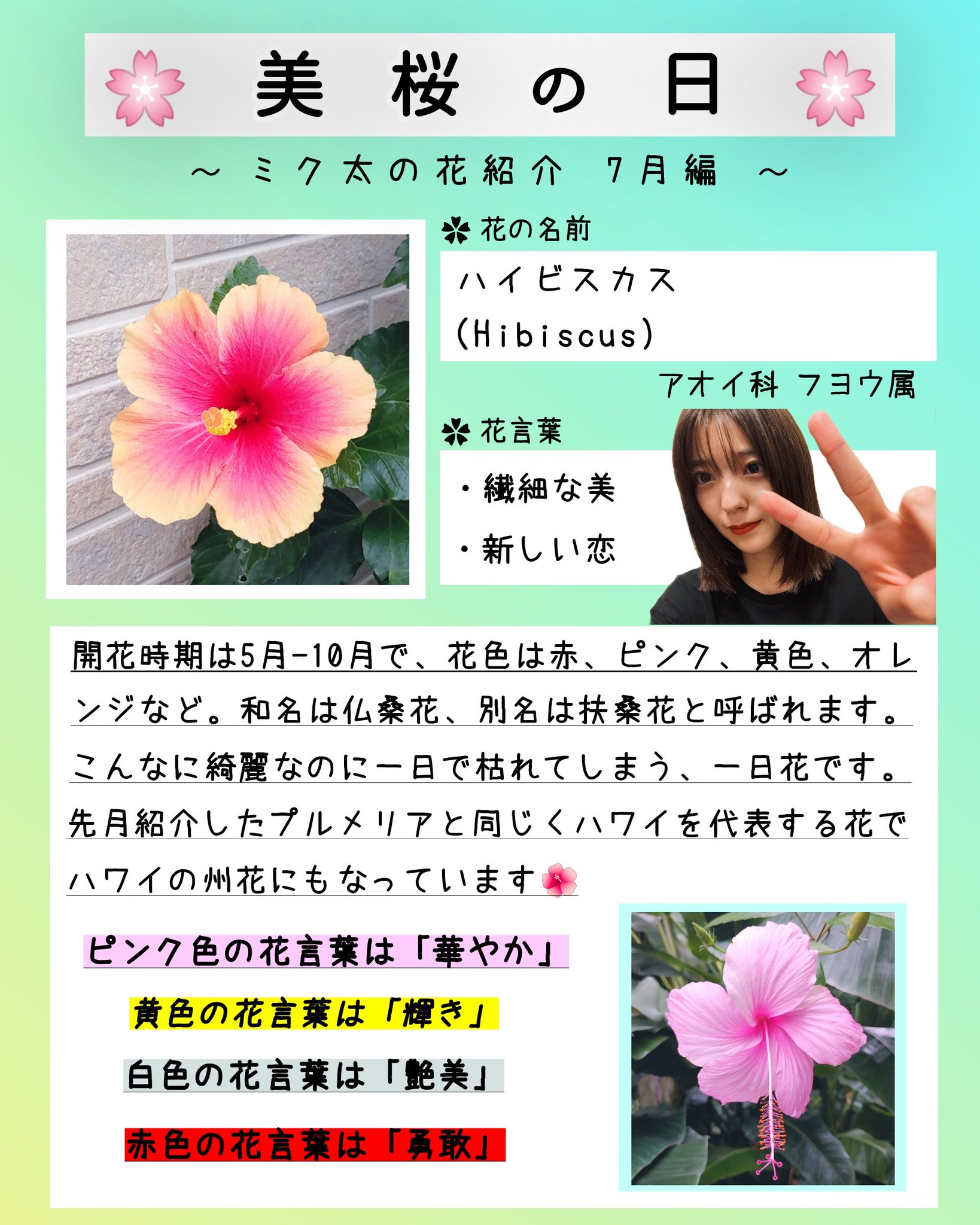 ミク太 على تويتر 7月に咲く花 1 ハイビスカス 美桜の日 工藤美桜 ミク太の花紹介 30club P Miokudo