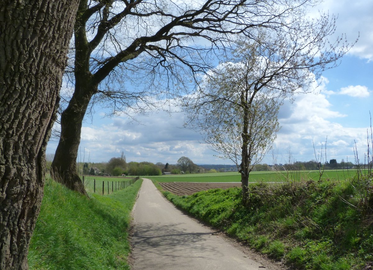Wij krijgen veel meldingen over het onderhoud van de openbare ruimte. Planten, hagen en onkruid groeien enorm door het warme weer én de vele regen. In deze vakantieperiode kan het gebeuren dat de afhandeling van je melding iets langer duurt dan normaal.  bit.ly/2UZY5SE