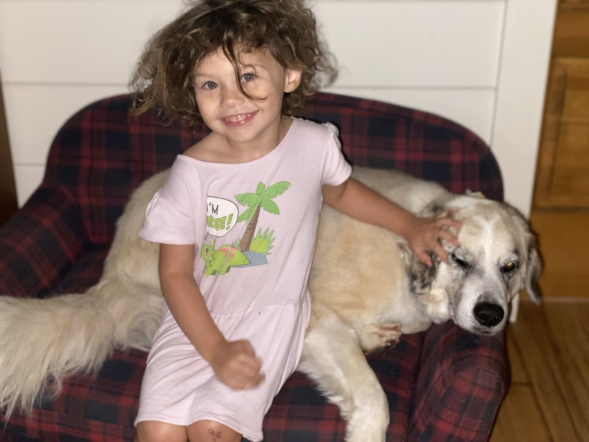JDMorgan's tweet photo. Bandit doing his best to ignore waking up. That was me at 630. “Dada! It’s morning!” Ugh. “No it’s not.” https://t.co/hcaVWICaC3
