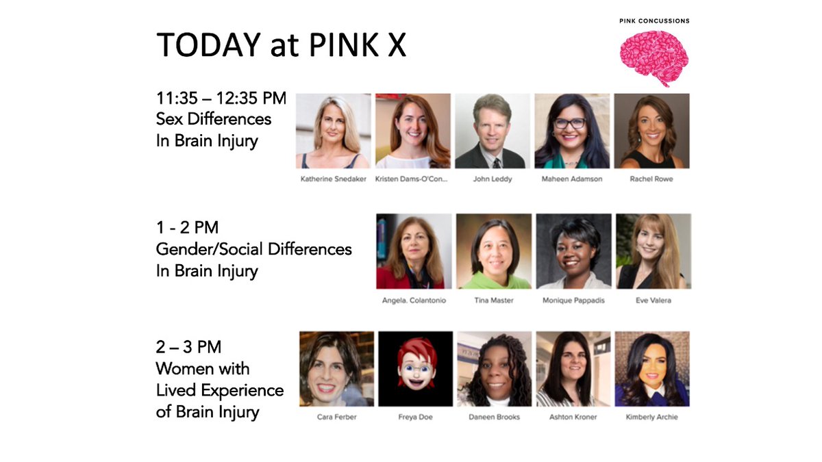 I_B_I_A's tweet photo. TODAY's PINK X sessions at the World Brain Injury Congress #pinkX focused on sex and gender differences in brain injury with @PinkConcussions speakers... https://t.co/IYGY55EAF3