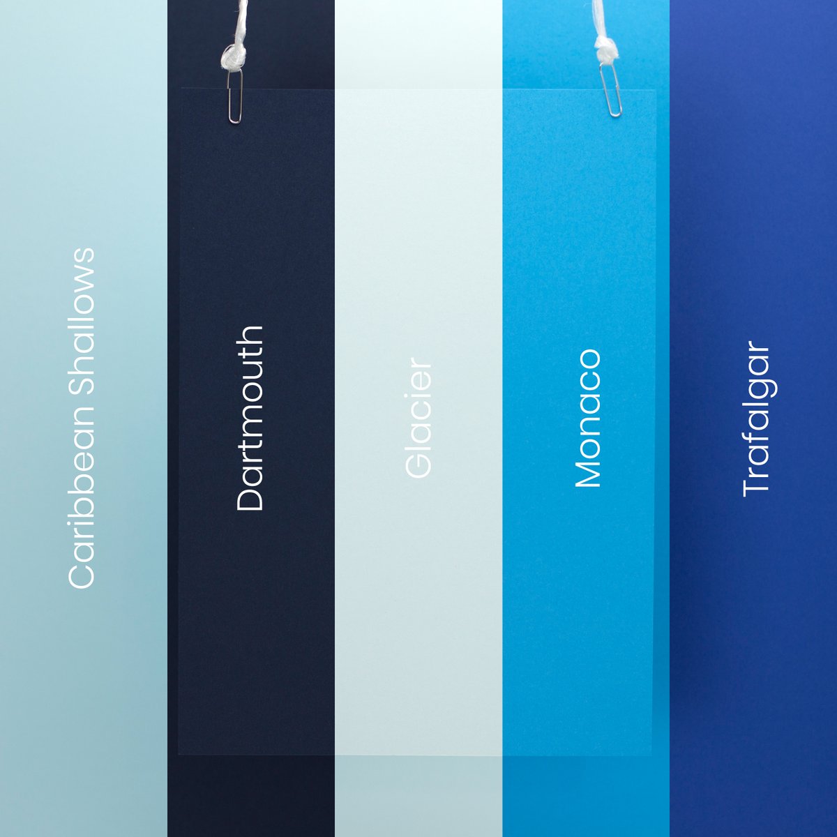 Blue is a branding favourite around the world. We have a versatile range of blues from lights and brights to deep rich shades.

Let us know which Senses blue is your favourite!

#Paper #colour #branding #designthinking #blue