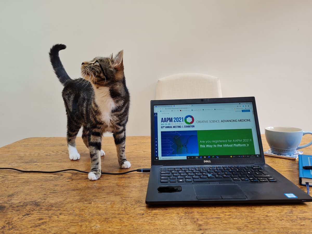 CAntunes_CRC's tweet photo. Nata and I are ready for another day of #AAPM2021! Don't forget that we are giving away one @CRCPress book of your choosing to three lucky winners. To enter to win, all you need to do is follow and retweet. @aapmHQ #MedicalPhysics #MedPhys #catsofmedphys https://t.co/EMyxDxVYbx