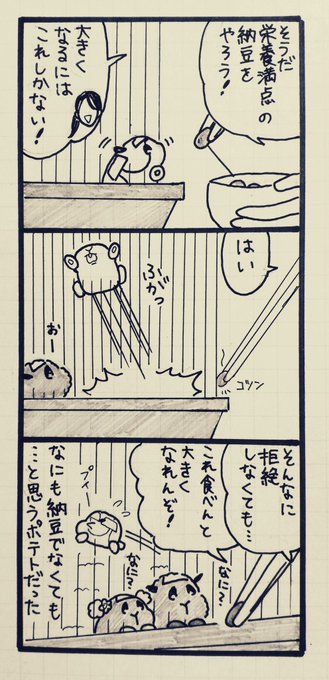 レポート漫画 タグが付いているマンガ一覧 いいね順 380ページ ツイコミ 仮