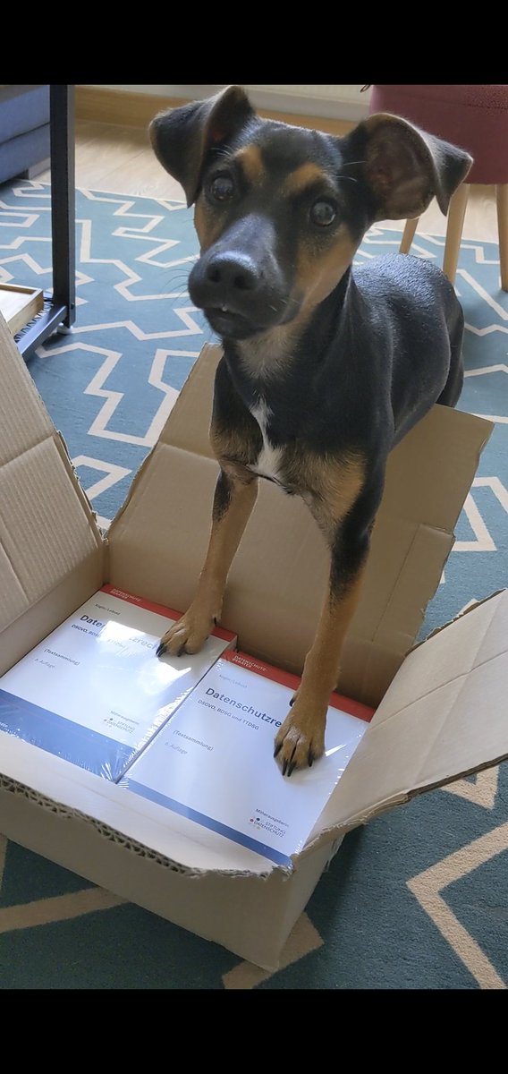 kleibold23's tweet photo. Die #Textsammlung von @_CookieBar und mir ist endlich angekommen!

DANKE an den @dfv_de (va Patrick) für die schnelle Umsetzung und @Fredomatikus für das tolle Vorwort!

Da wird sogar der Hund in der Pfanne verrückt! #DSGVO #BDSG #TTDSG #UWG #BGB #Arbeitshilfen #TierischeFreude https://t.co/CANqFoCRMy