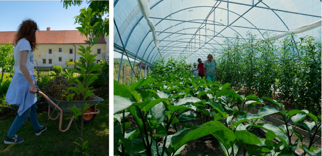 Alba Iulia Municipality officially started its Small Scale Action! 😀From introduction to permaculture and eco-agriculture, to a study visit to a vegetable farm and at a wine producing facility! Learn more here: urbact.eu/alba-iulia-mun…