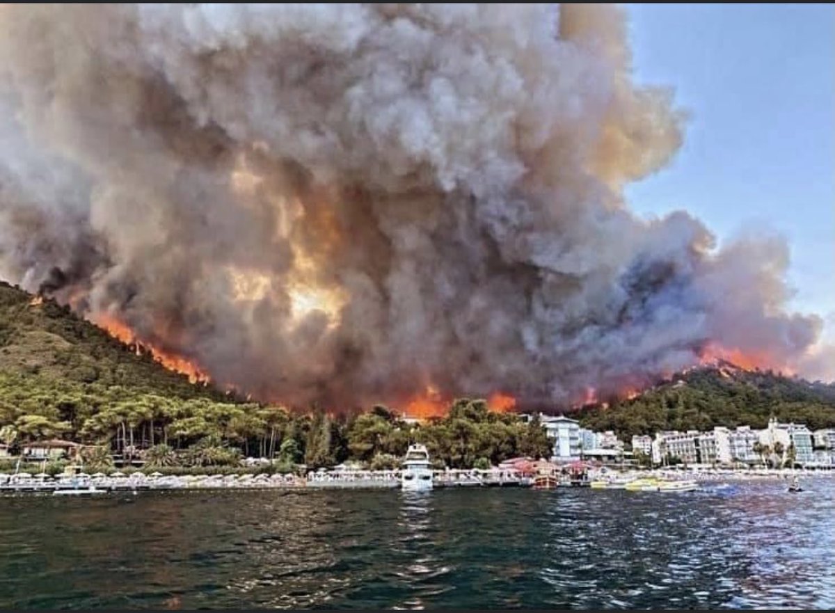 TansuYegen's tweet photo. #Manavgat #Bodrum şimdi de #Marmaris
Gelen fotoğraflara bile bakamıyorum.
Bunu yapanları lanetliyorum… https://t.co/V9DHy8CNUo