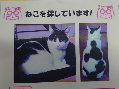 アンジュ動物病院 Ange Ah Com Twitter