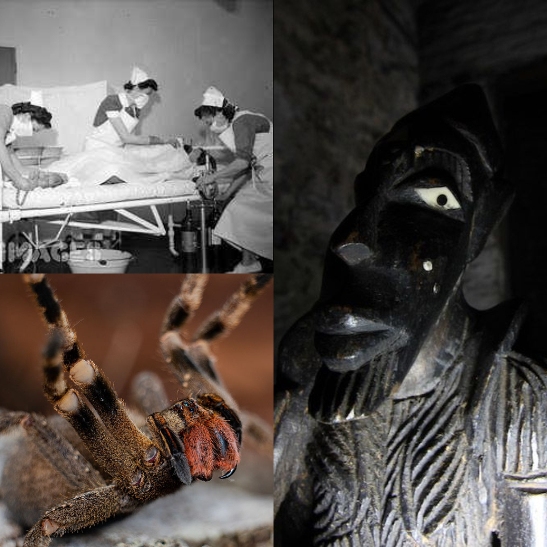 Bonus: Meet My Friend Billy is out now! Follow the link to listen: bit.ly/2DD5rPF

This month's assignment was scare each other! Join us as we discuss twilight sleep, viagra spiders, and Billy.