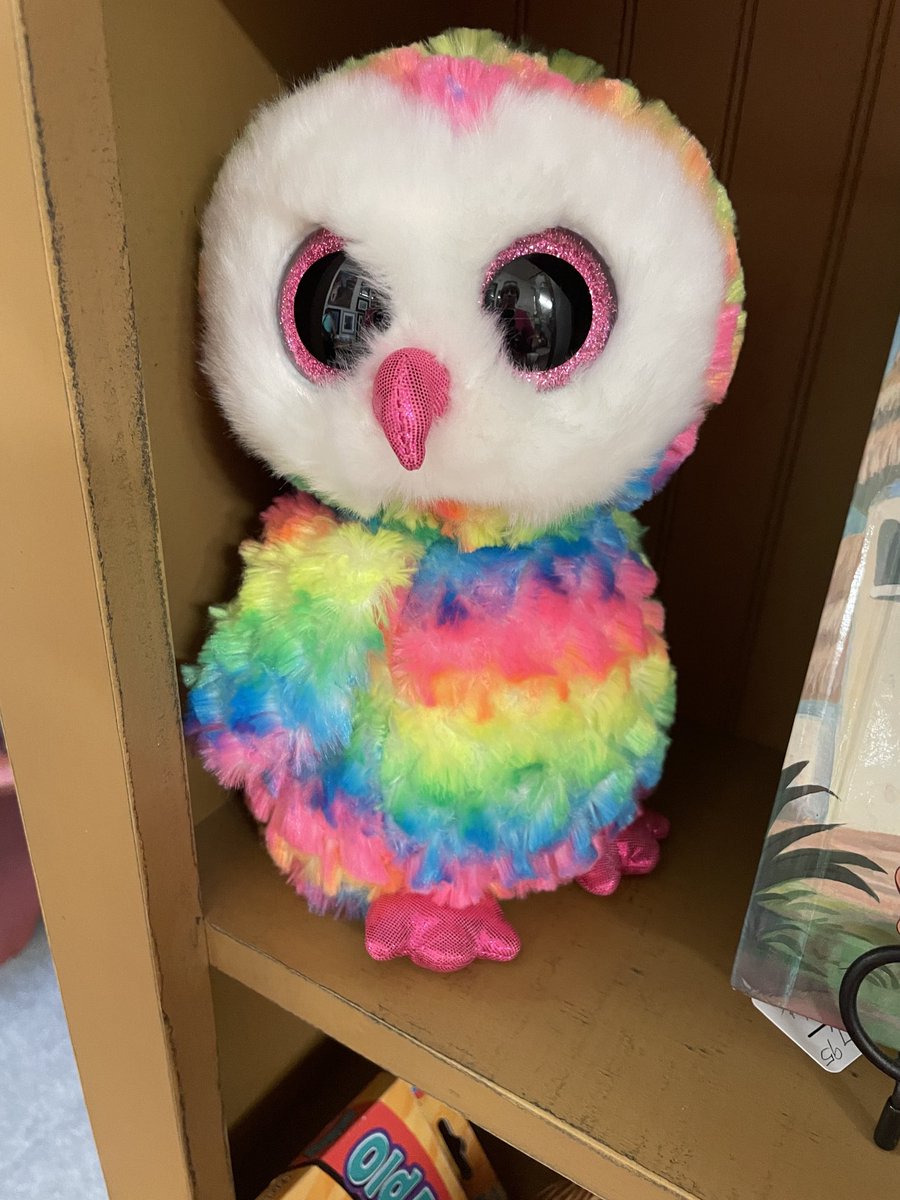 MorningstarRuth's tweet photo. For you Rita#POstable I saw him at a shop yesterday &amp; his pretty colors are like your dresses &amp; personality.#signedsealed&amp;delivered https://t.co/caJaMX5lwk