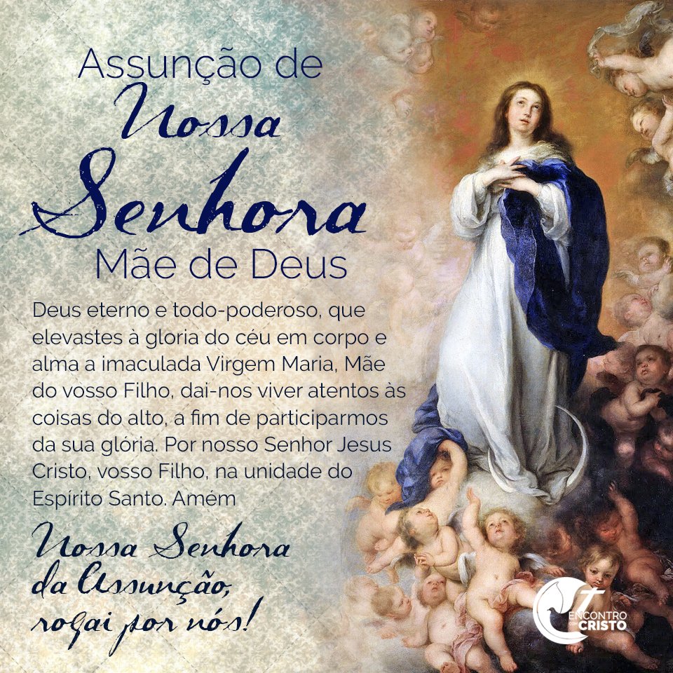 PadreAlberto_'s tweet image. A Assunção de Maria nos ensina a crescer um pouco mais no amor a Cristo e à Igreja.