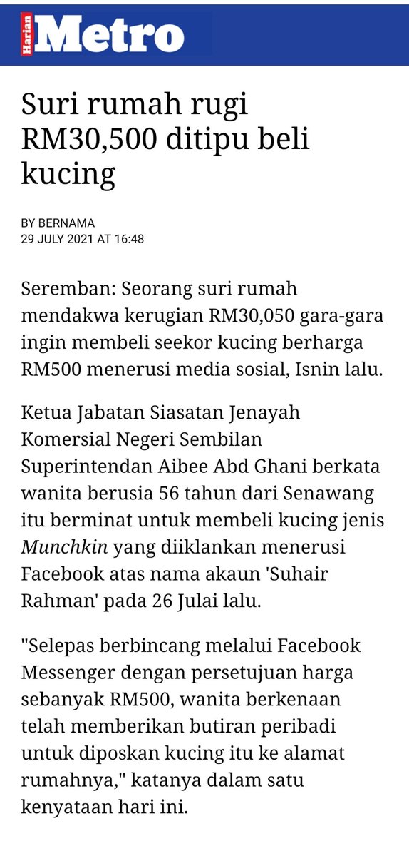 AhmadSanusi's tweet photo. #catscam #scam
Seremban: Seorang suri rumah mendakwa kerugian RM30,050 gara-gara ingin membeli seekor kucing berharga RM500 menerusi media sosial, Isnin lalu. https://t.co/q7SRNm0uHz