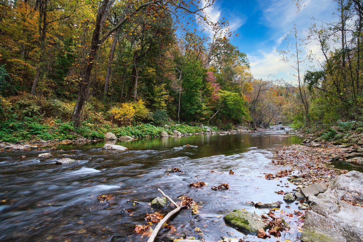 DAngeloFoto's tweet photo. The Wissahickon, right before Autumn approaches. What are your favorite hidden nature excursions #philly ? 
.
.
#phlphoto #wissahickon #NaturePhotography #outdoors #Pennsylvania #landscapephotography #NaturalBeauty #nature #philadelphia #cityshot #photography #park #SonyAlpha https://t.co/CpuUl5NWD1