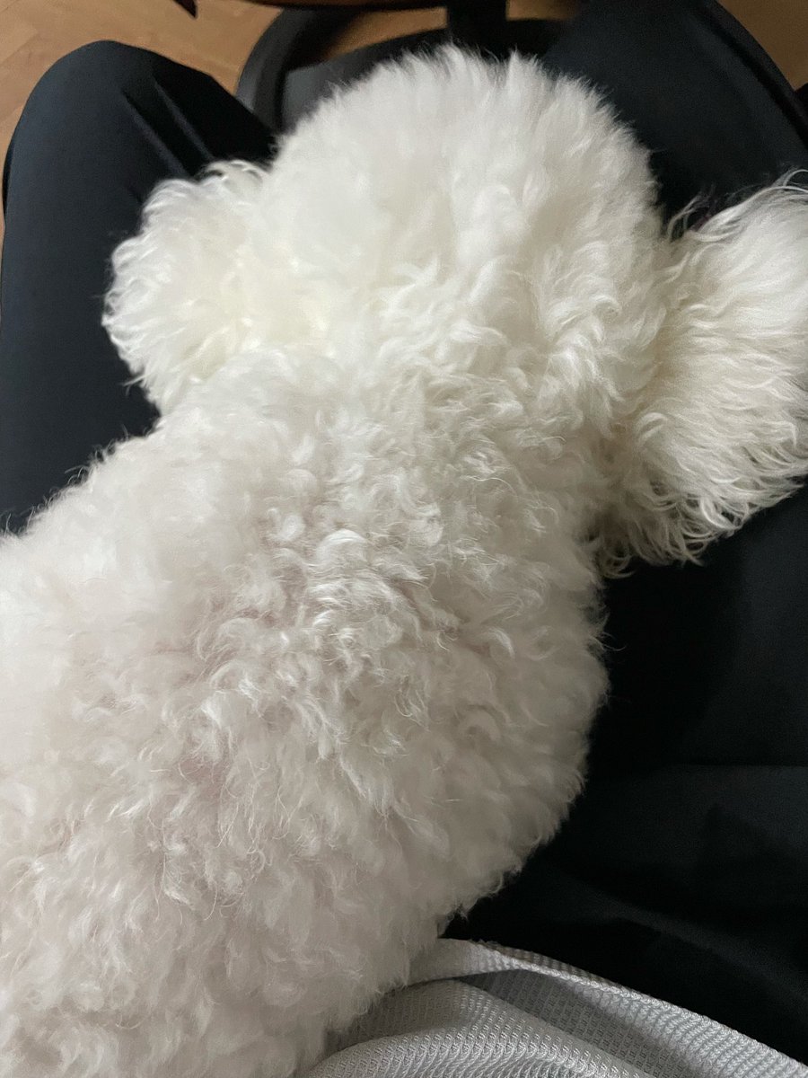 sehunmessage tweet picture