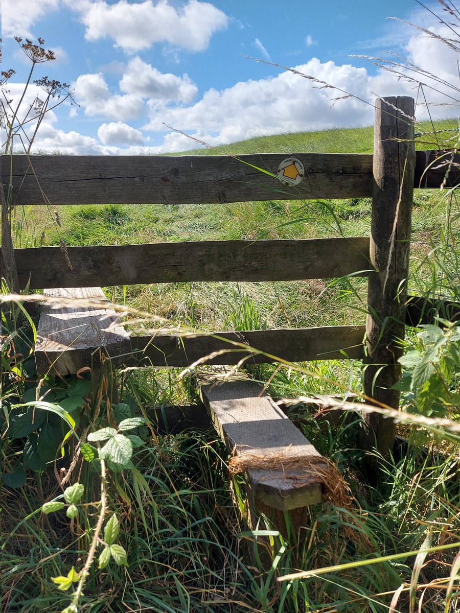 Swapping #everydaywalking @livingstreets style for @RamblersGB today on the beautiful @ShropWay