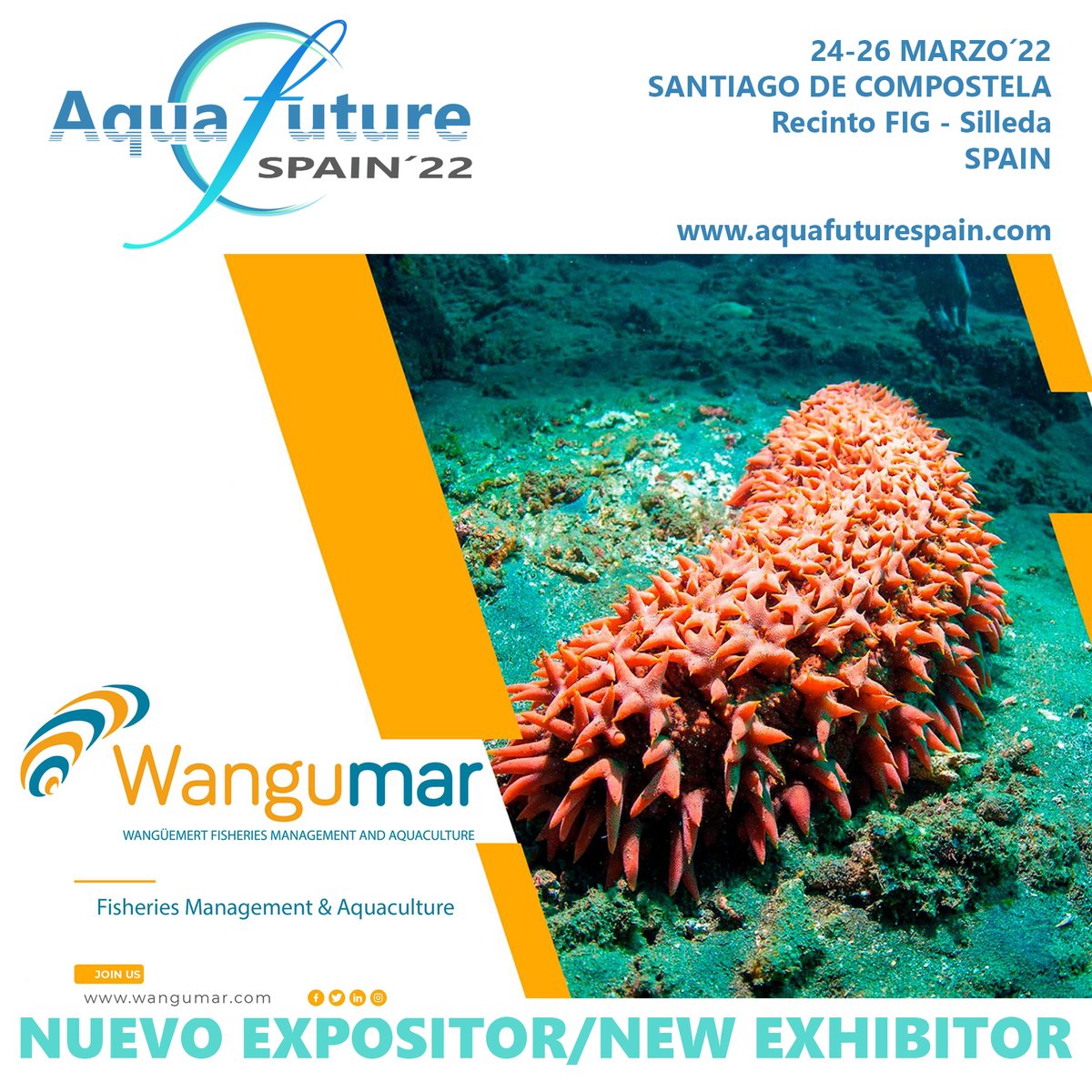 Nuevo expositor en aquafuturespain.com, desde Alicante - España, WANGUMAR, especialistas en la acuicultura y la pesca del pepino de mar en el Mediterráneo y el Atlántico nororiental
