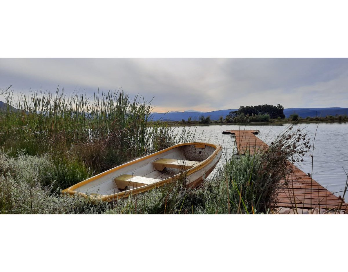 Anybody seen Richard Parker and Pi?
#farmlife #farming #southafrica #nature #theoutdoors #landscape #dam #guestfarm #weddingvenue #travel #adventure #views #karoo #koovalley #bassfishing #cottage #holidays #chilled #getaways #cottages #selfcatering #hottubs #horseriding