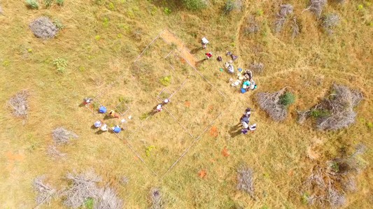 namtip_project's tweet photo. Against all odds, our international field team was able to complete the ecological assessments on all sites. 🙂 https://t.co/BeG4UddLUS