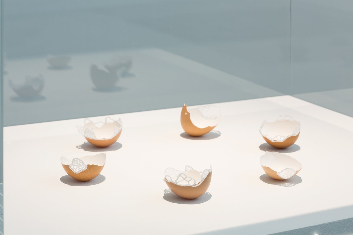 VisualCarlow's tweet photo. Fiona Harrington Fragile Economies (Circle) (2020) Handmade needlelace and eggshells Dimensions variable
"...by making lace, women were both liberated and controlled"
View at VISUAL now
#WomanInTheMachine co-created by VISUAL & @CarlowArts as part of @Brightening_Air https://t.co/y3p2fiaXKJ