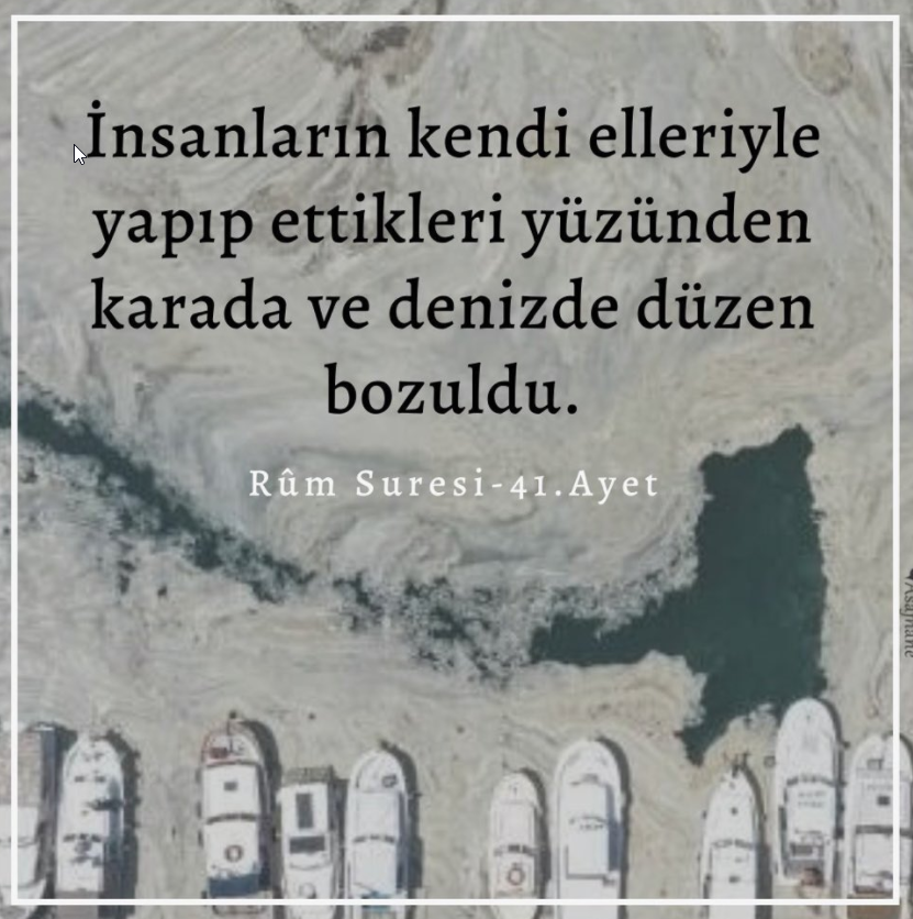 ohayyam tweet media