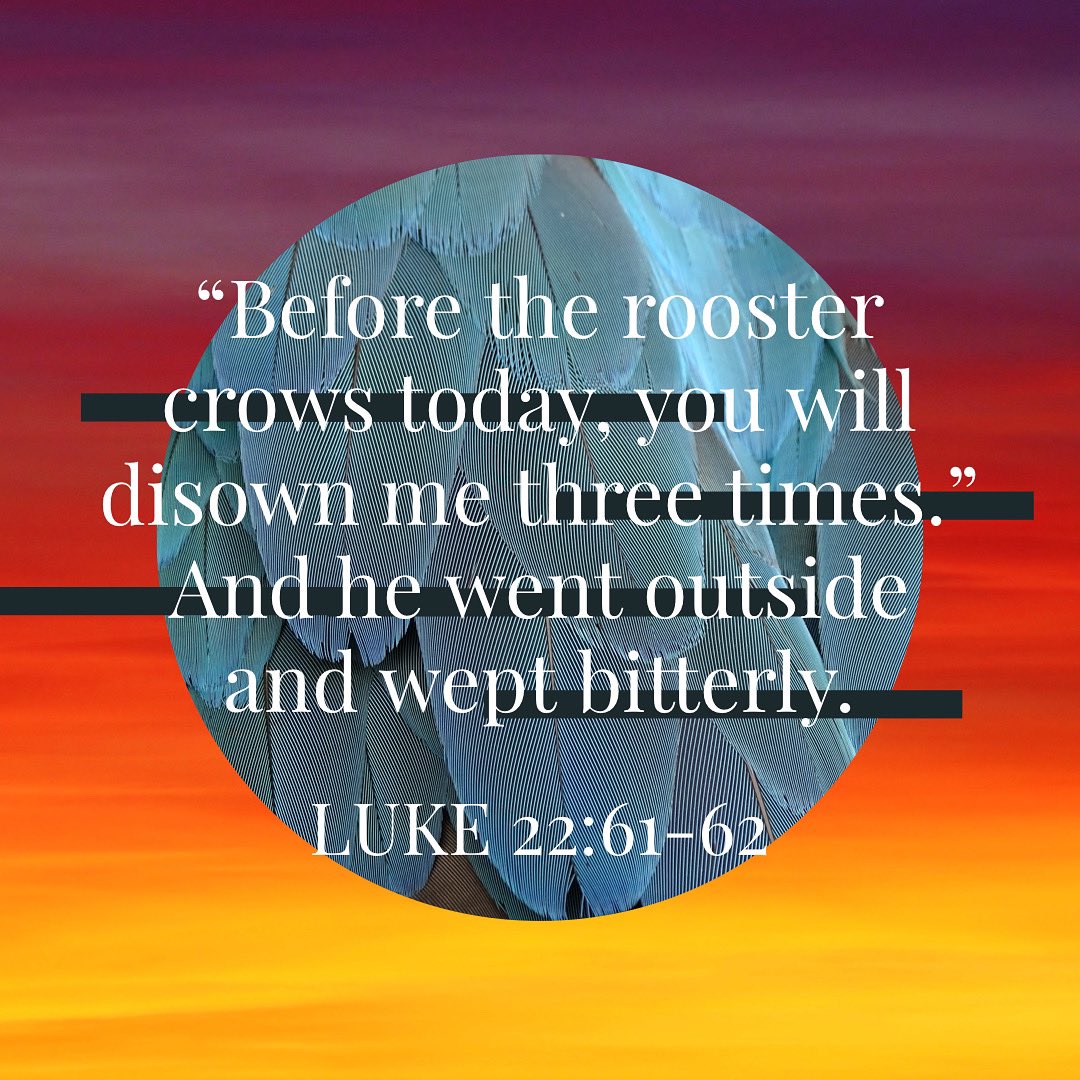 columbiacityumc's tweet photo. July 29, 2021

Luke 22

“Before the rooster crows today, you will disown me three times.” And he went outside and wept bitterly.
—Luke 22:61-62 https://t.co/3jhuSAo7wU