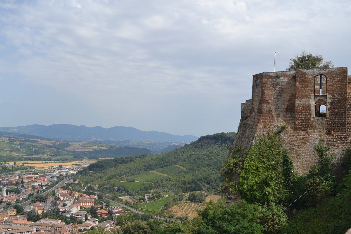 The Gabii Project tweet media