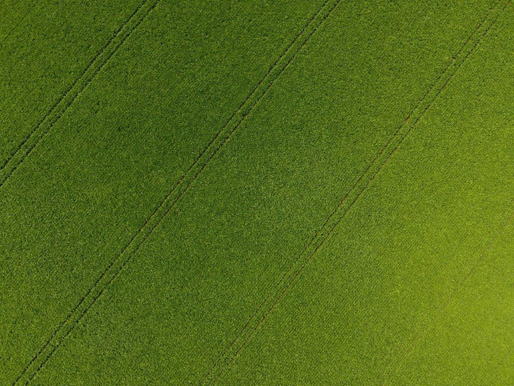 BioganixL's tweet image. Now what farmer wouldn’t want a Sugar Beet crop that looks like this ?! We’re pleased to report we’ve got some happy farmers following our recent applications of #digestate. If you’re a farmer in North Lincolnshire who would like to know more, please get in touch on 01652 637803.