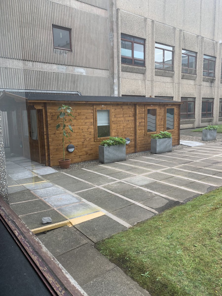 Lovely to see @WHHNHS recognition of #hiddendisabilities with our sunflowers growing outside of our #wellbeinghub in partnership with @and_efm